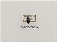 藏品(步行蟲(2))的圖片